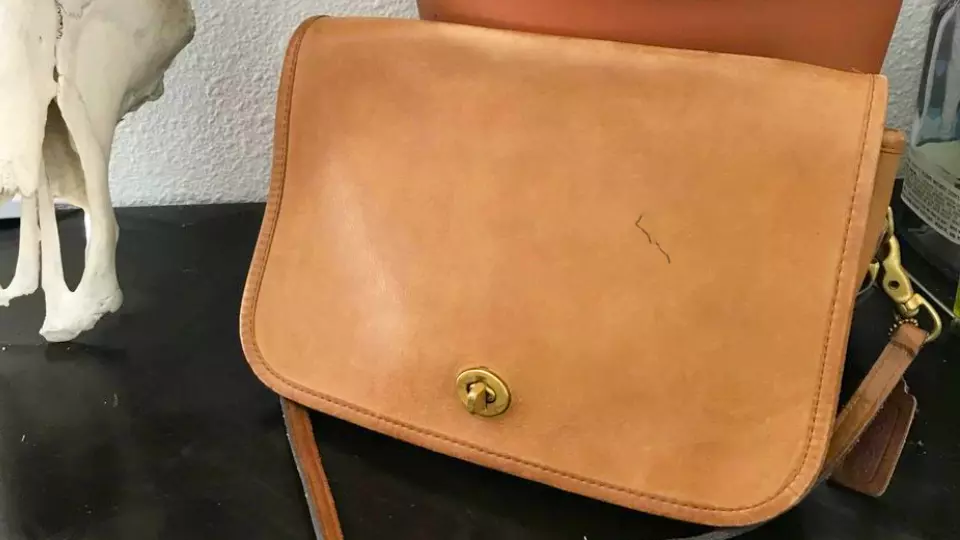 how to remove ink stains from leather bags